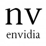 Envidia es una palabra con nv