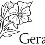 Geranio es una palabra que inicia con ge.